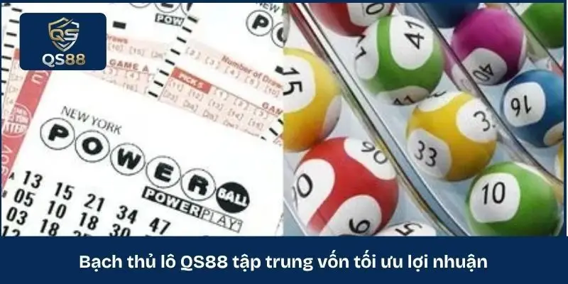 Bạch thủ lô QS88 tập trung vốn tối ưu lợi nhuận