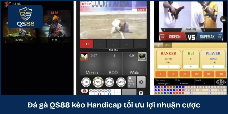 Đá gà QS88 kèo Handicap tối ưu lợi nhuận cược 