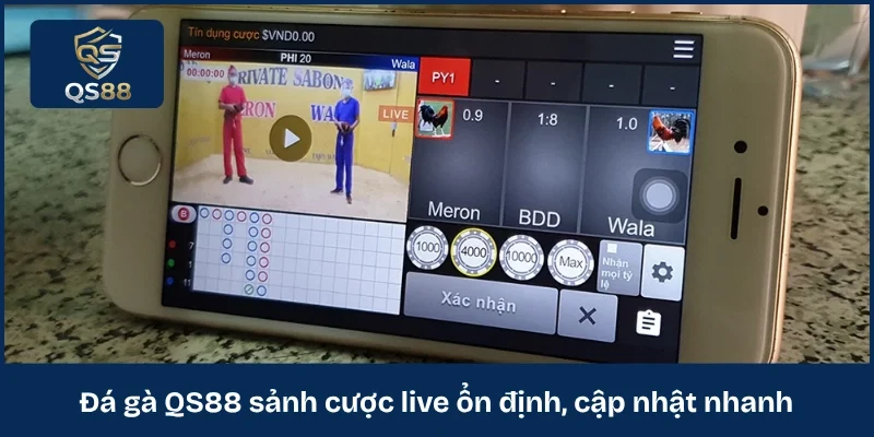 Đá gà QS88 sảnh cược live ổn định, cập nhật nhanh 