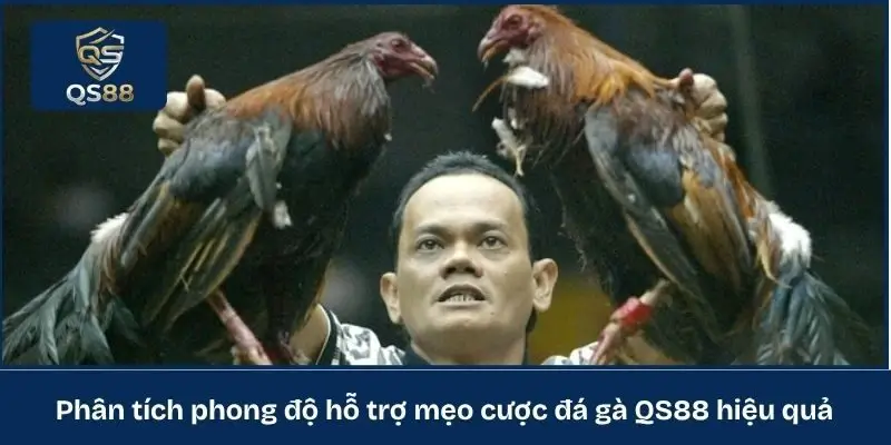 Phân tích phong độ hỗ trợ mẹo cược đá gà QS88 hiệu quả